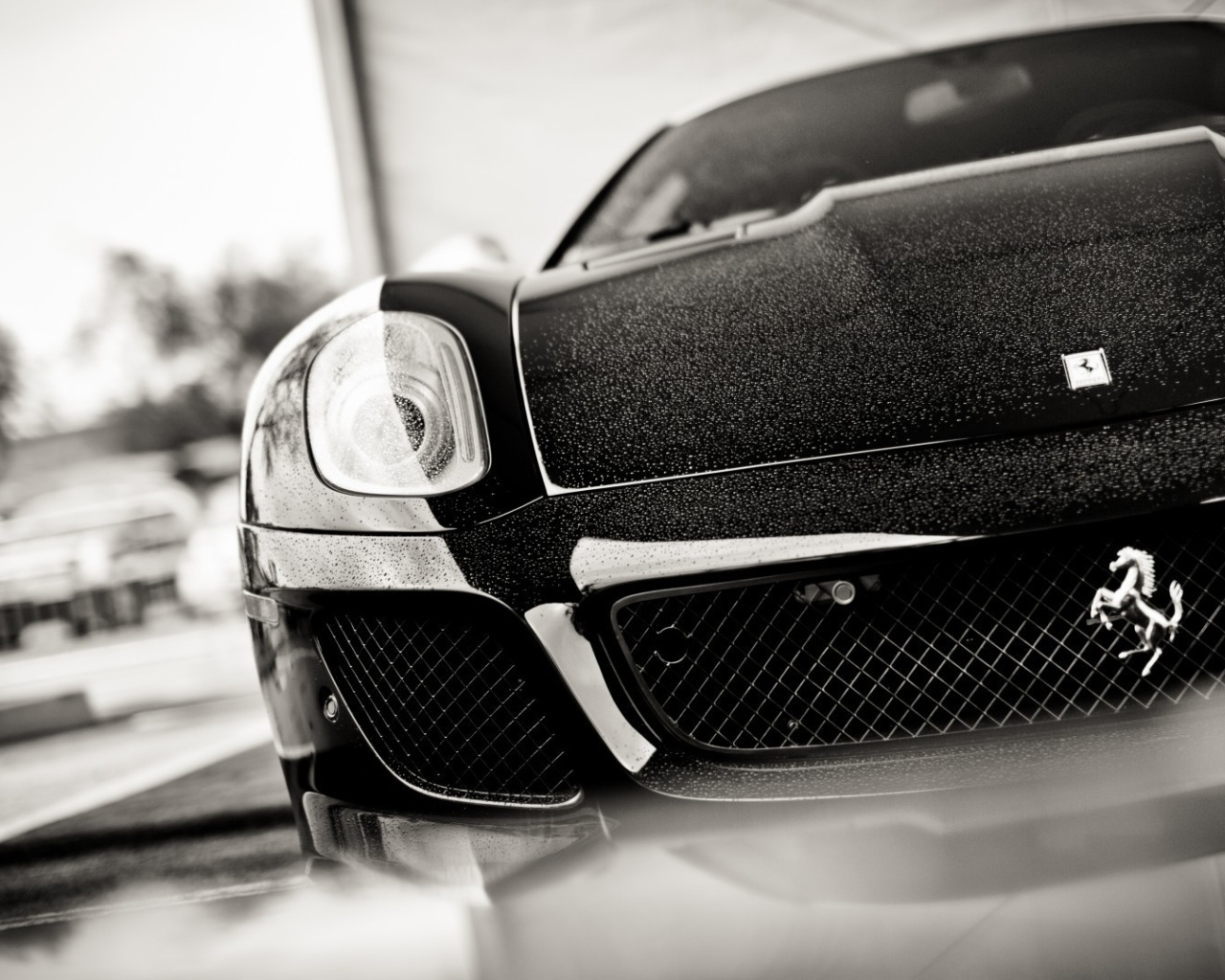 Черно белое фото авто Ferrari