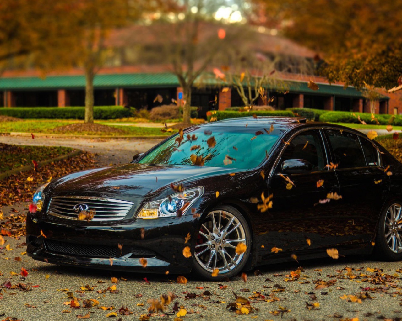 Автомобиль Infiniti в осеннем парке