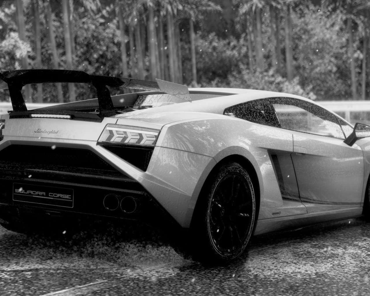 Черно белое фото Ламборгини под дождем