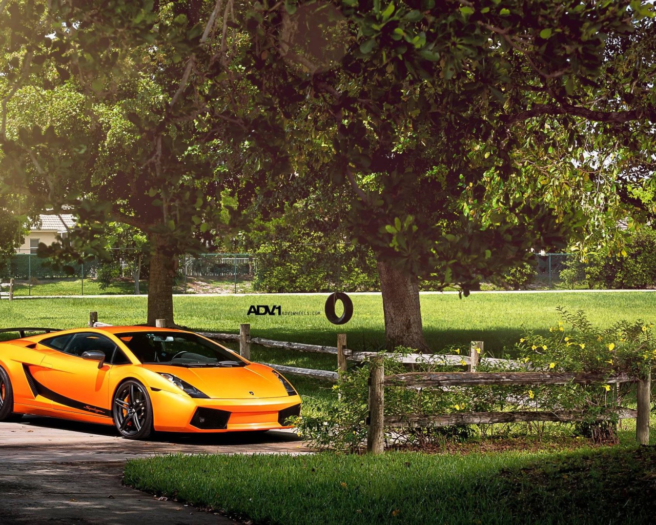 Оранжевый Lamborghini у фермерского забора