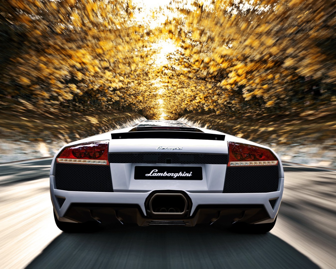 Белый Ламборгини мчится по аллее