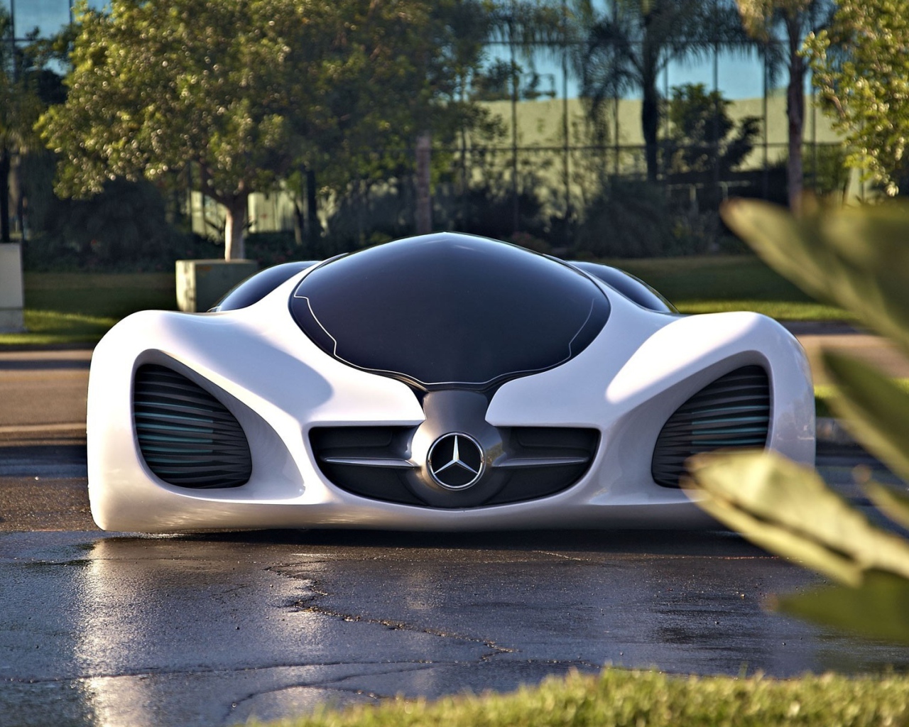 Автомобиль будущего Mercedes-Benz BIOME