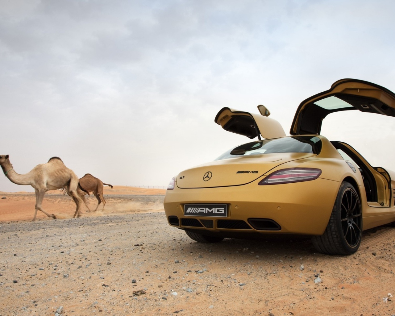 Mercedes-Benz SLS AMG в пустыне