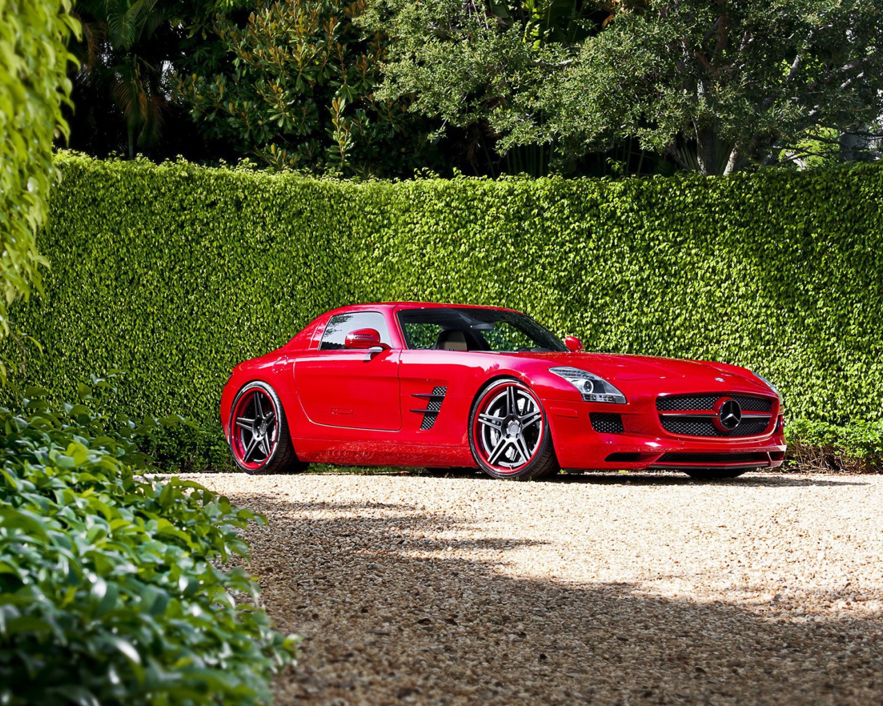 Красный Mercedes у забора из зелени