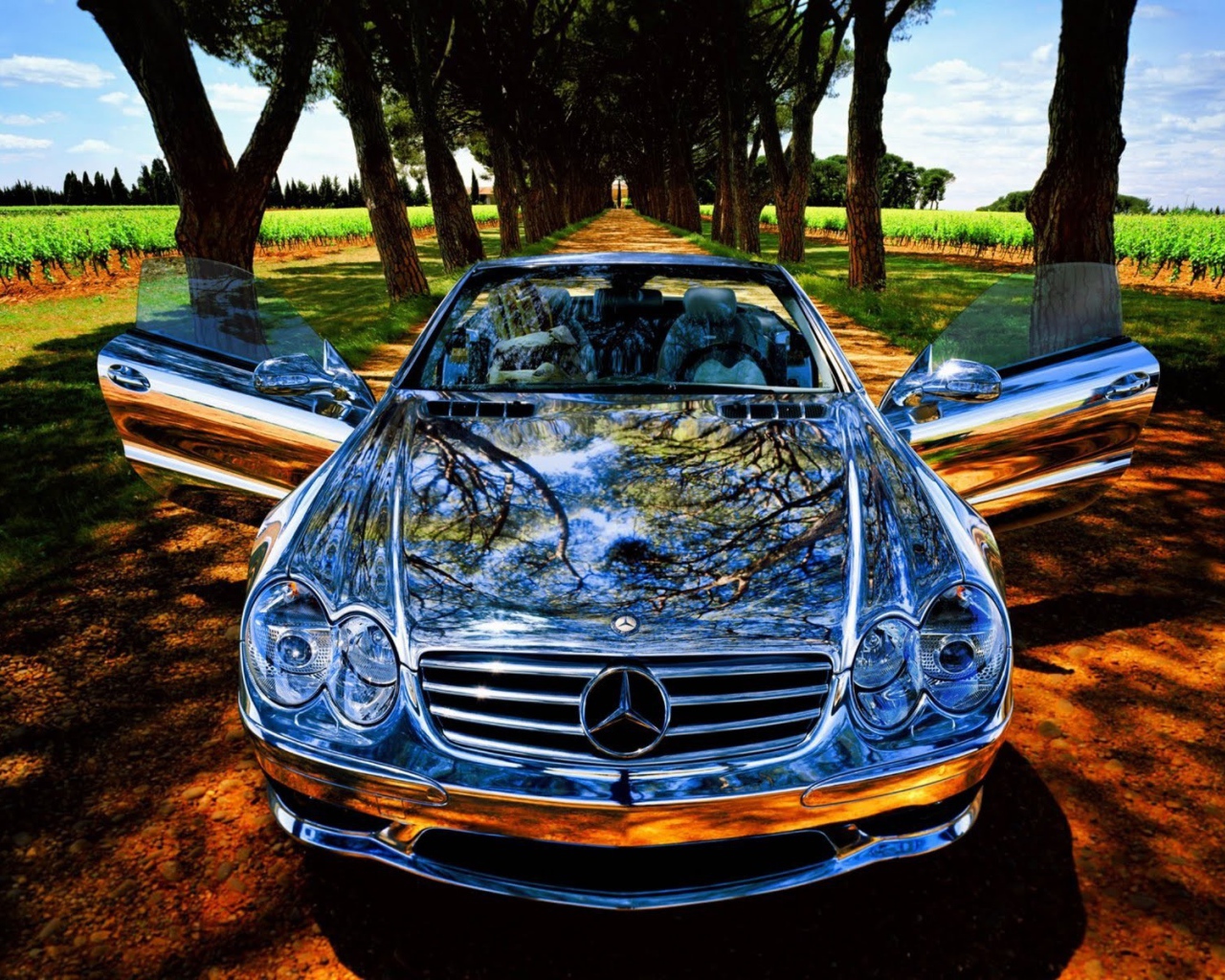 Блестящий спортивный Мерседес на аллее
