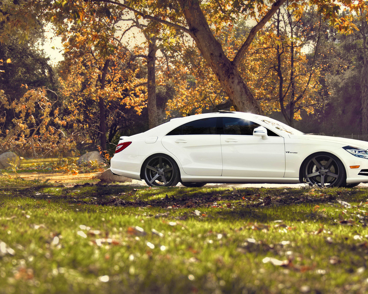 Белый мерседес на природе