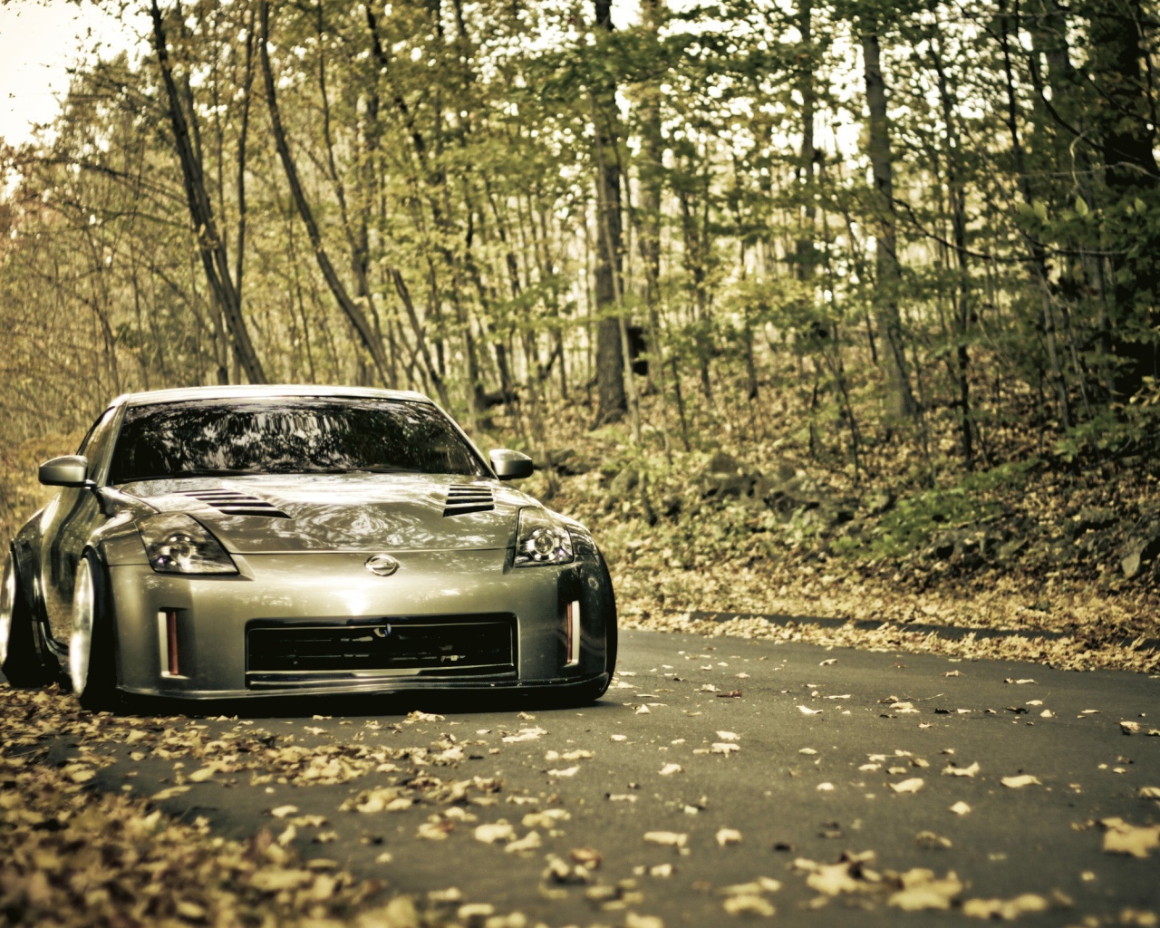 Серебристый Nissan 350Z в лесу