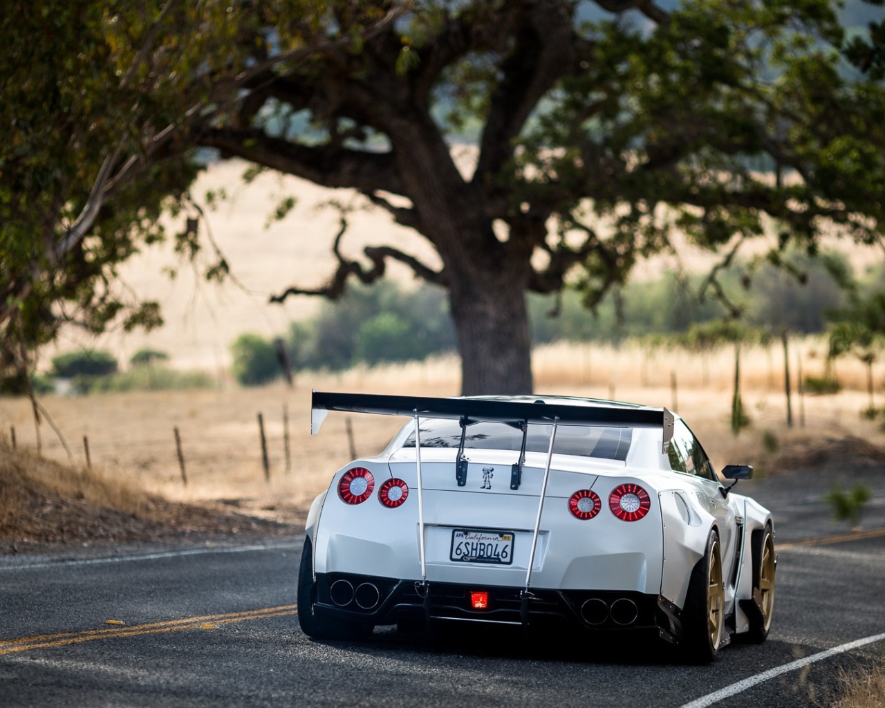 Белый Nissan GT-R на загородном шоссе