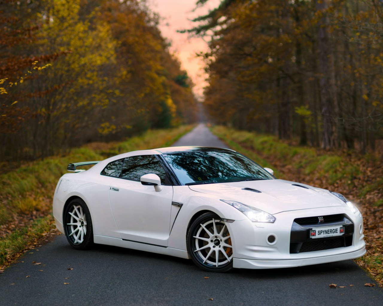 White Nissan GT-R on the road in the woods