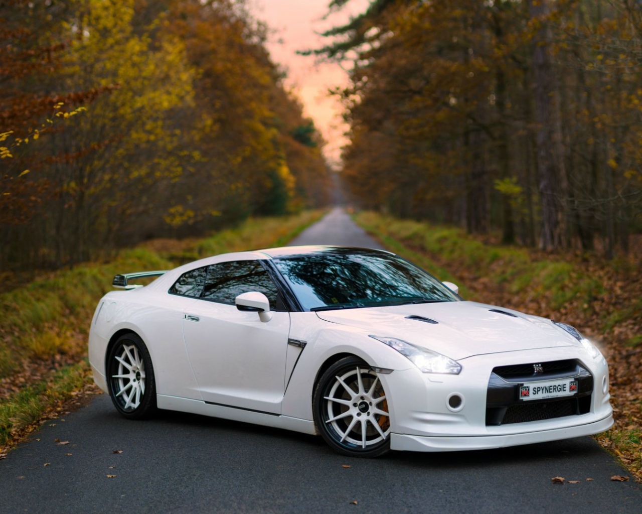 Белый Nissan GT-R на дороге в лесу