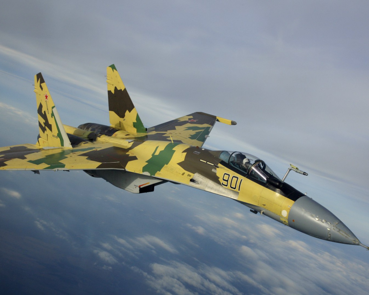 Самолет с маскировочным окрасом