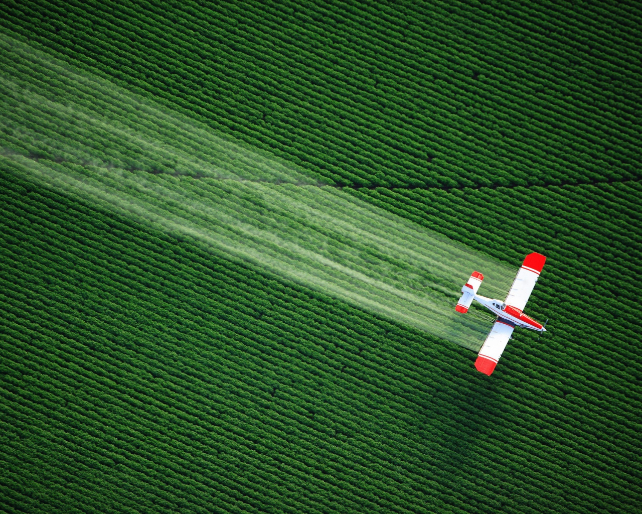 Самолет распыляет удобрения над полем