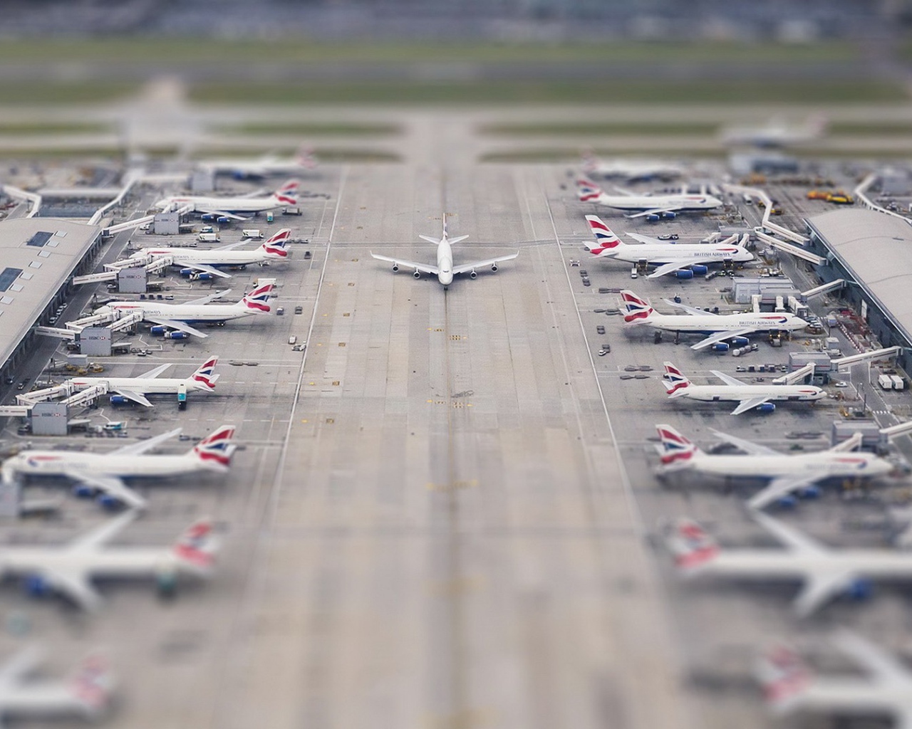 Самолет выруливает на полосу