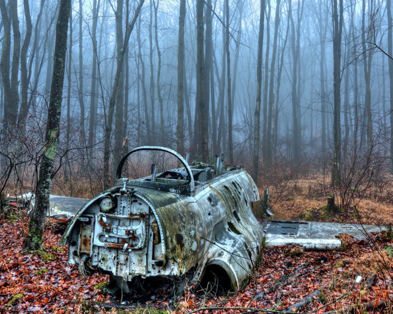 Обломки самолета в лесу
