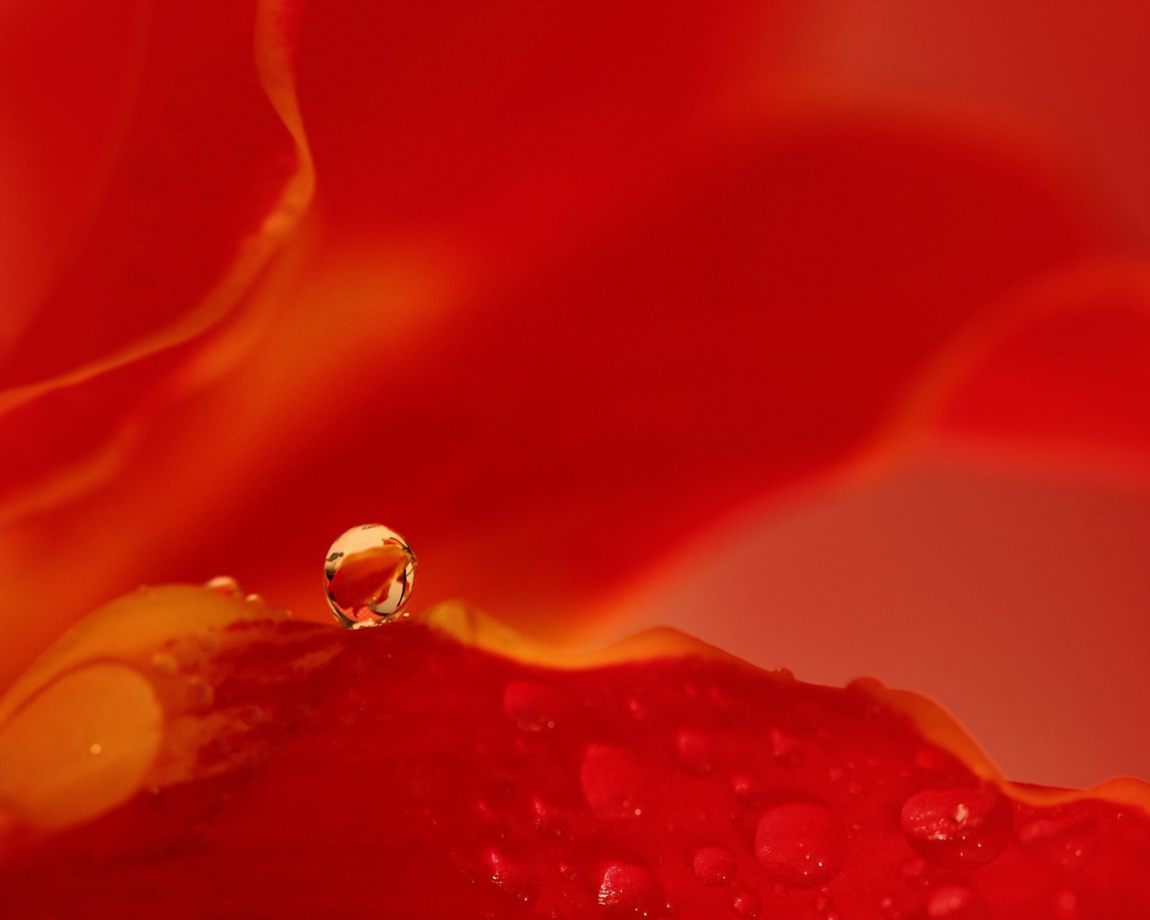 Капля воды на красном фоне