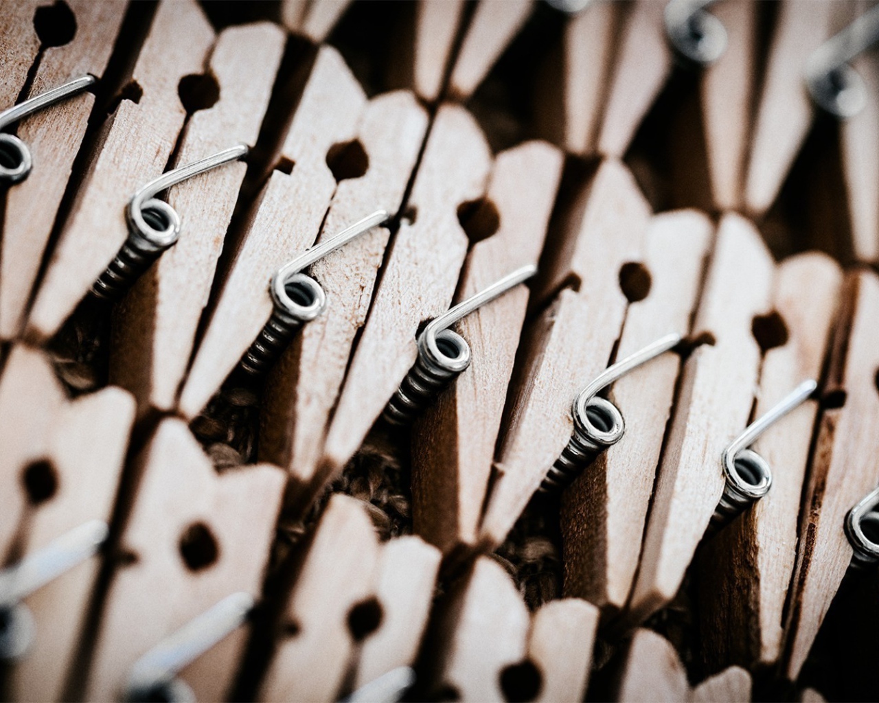 Набор деревянных прищепок