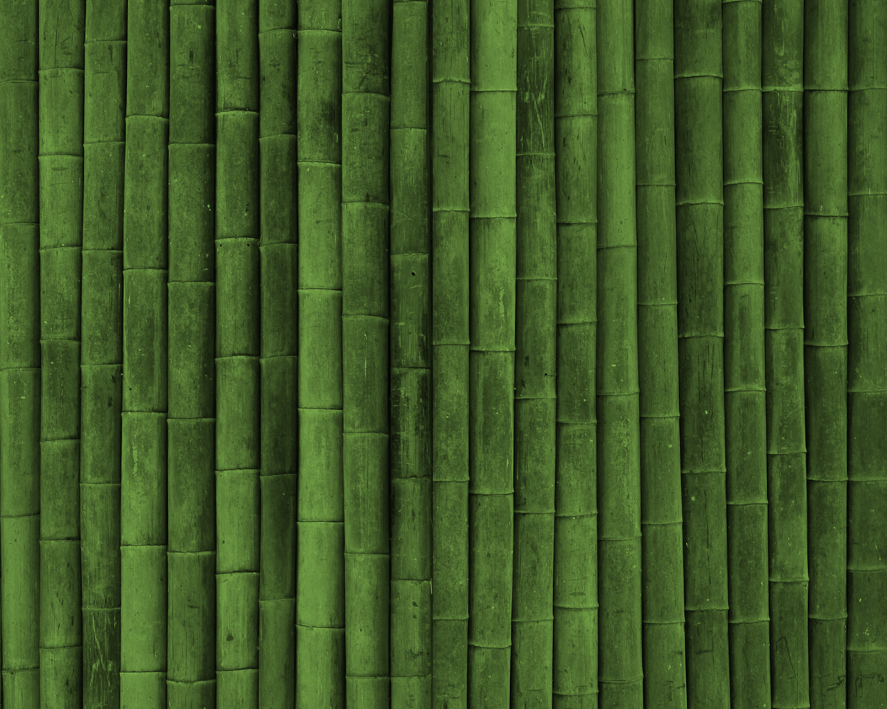 Фон зеленый бамбук