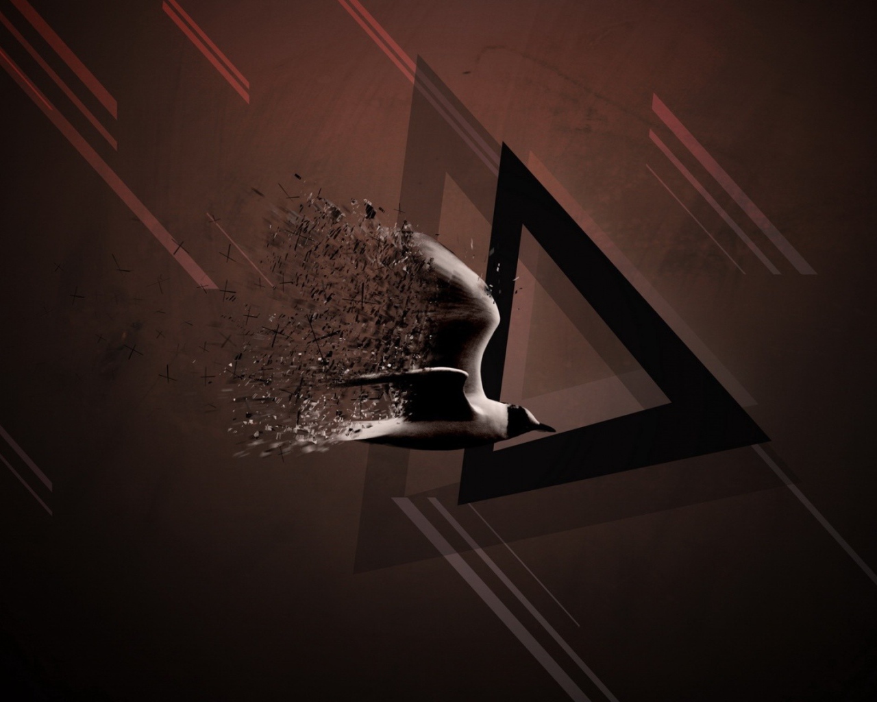 Птица и треугольник, коричневый фон