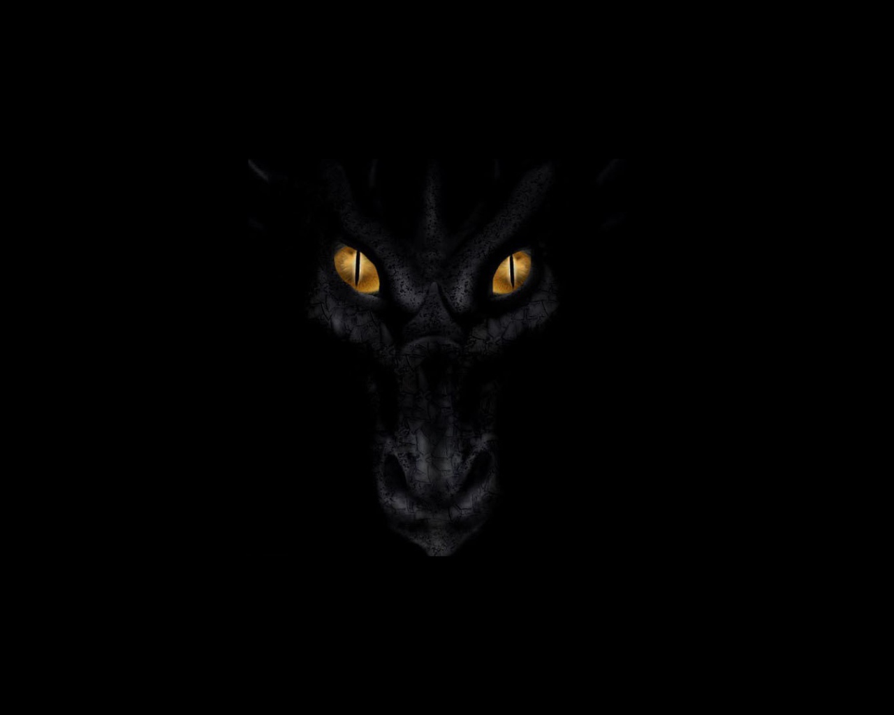 Черный дракон смотрит из тьмы