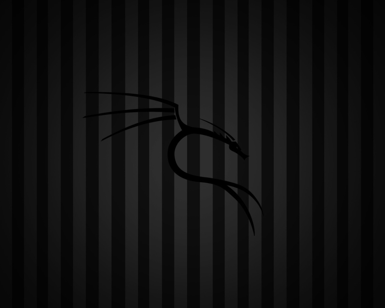 Черный фон Kali Linux