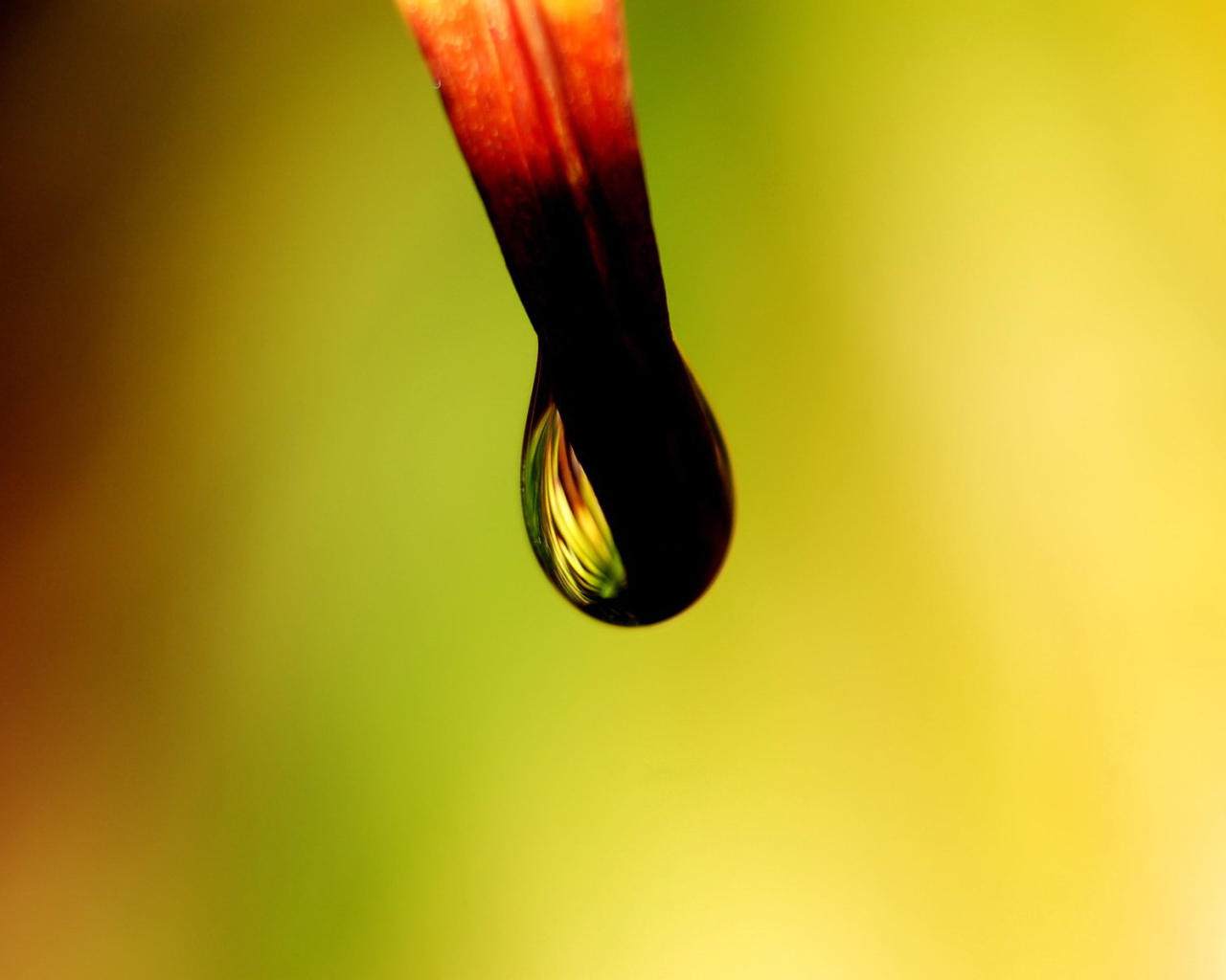 Черная капля