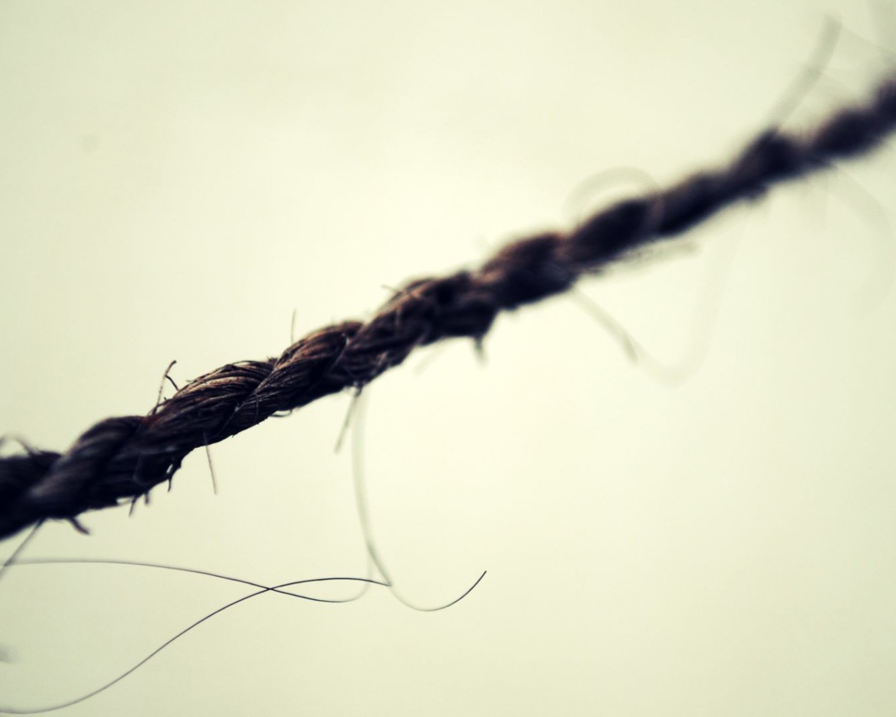 Черная веревка на белом фоне