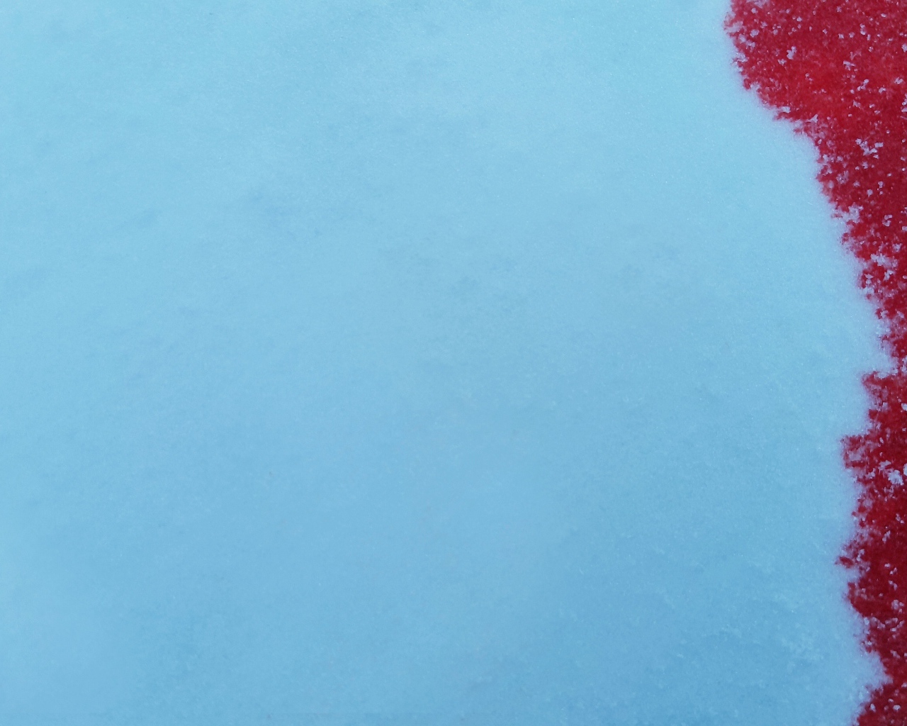 Кровь на голубом снеге