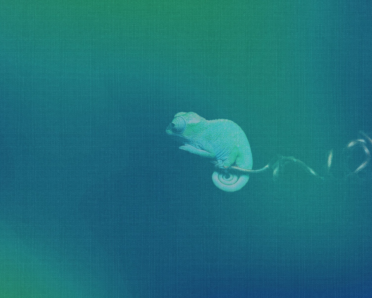 Хамелеон, синий фон Убунту