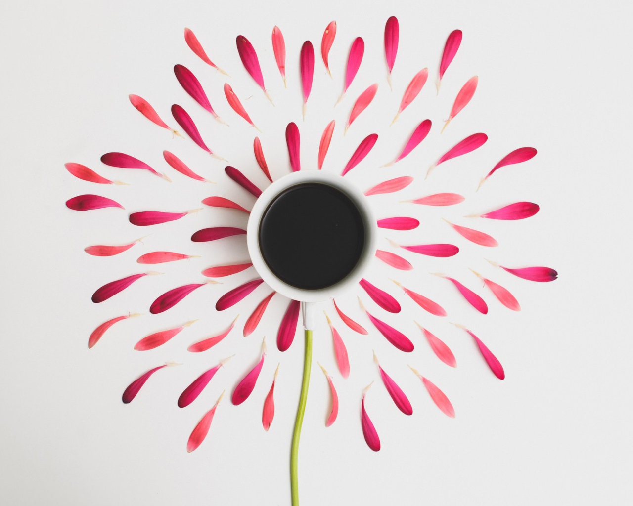 Чашка на изображении цветка