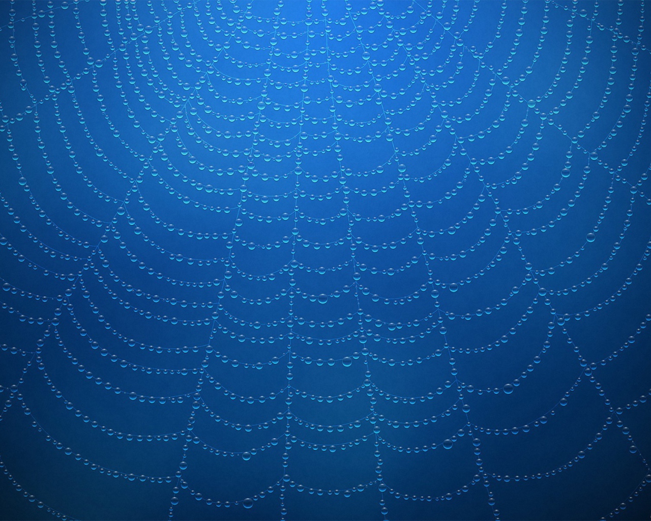 Роса на паутине, голубой фон