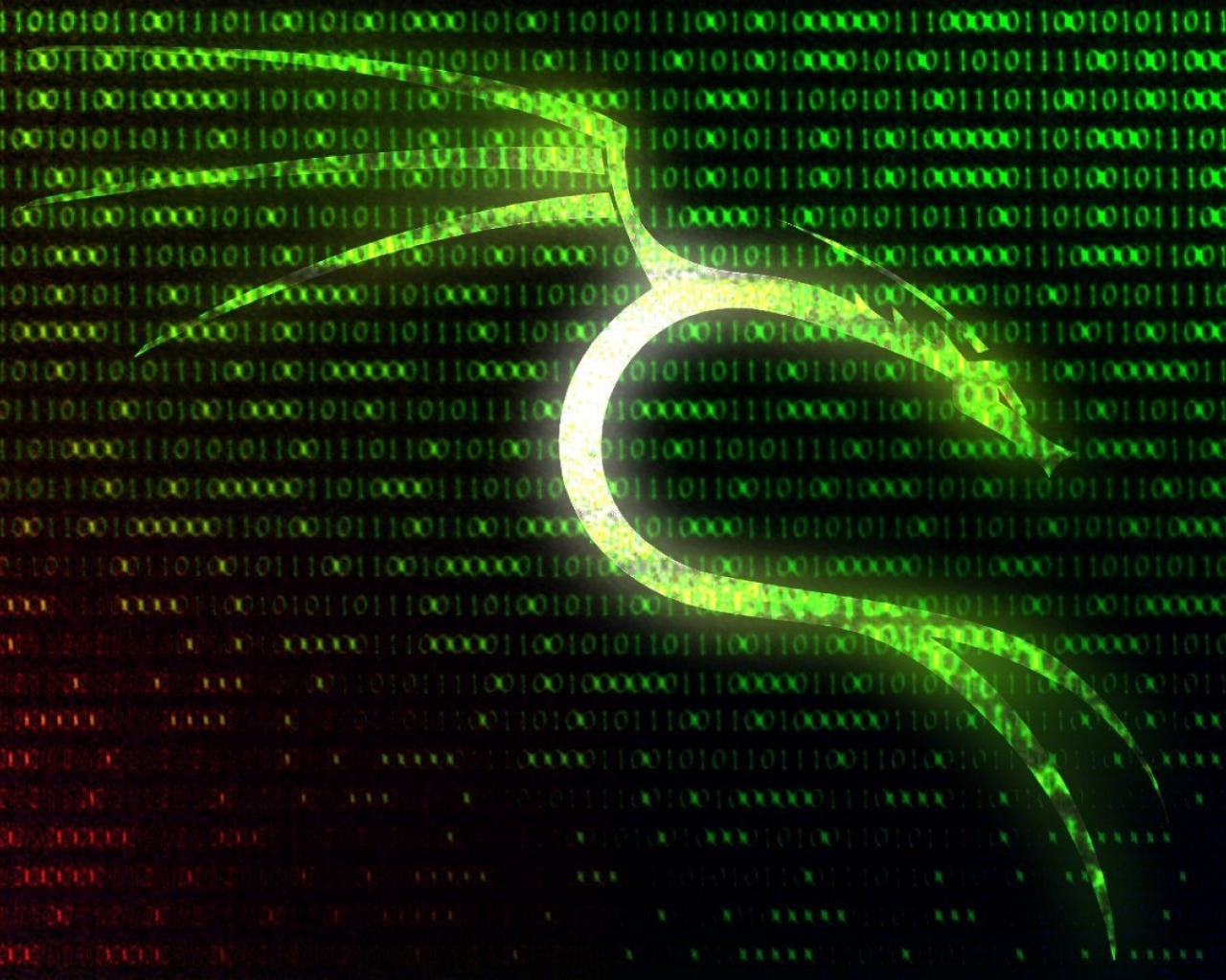 Цифровой фон Kali Linux