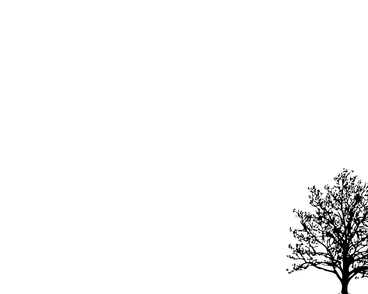 Черное дерево, белый фон