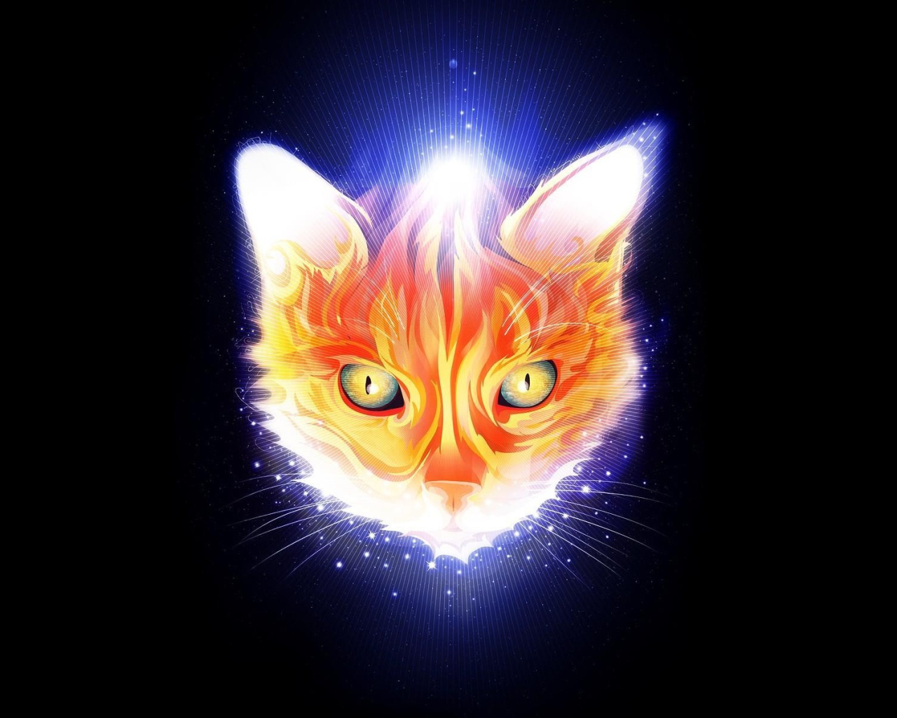 Огненная мордочка кота, черный фон