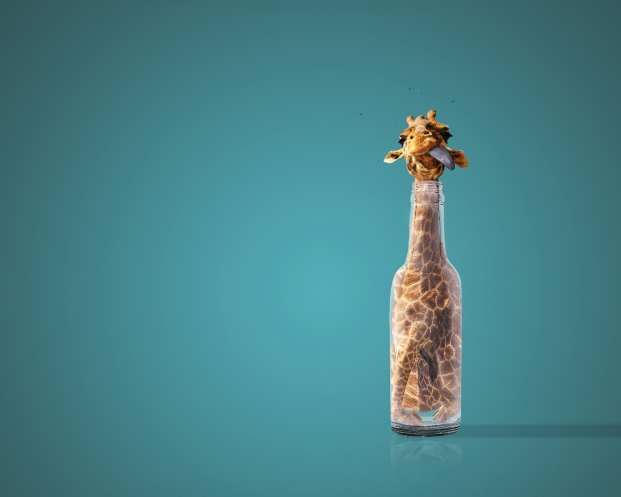 Жираф в бутылке