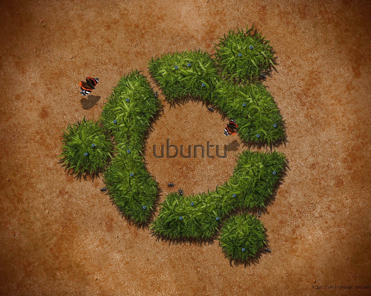 Трава в пустыне, фон Ubuntu