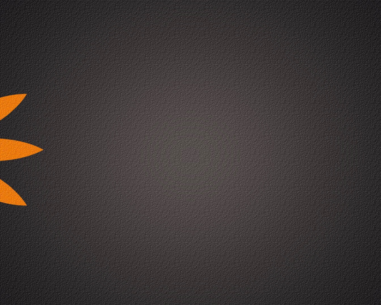 Серый фон, оранжевый цветок