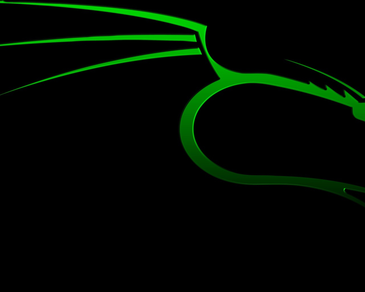 Зеленый дракон на черном фоне Kali Linux