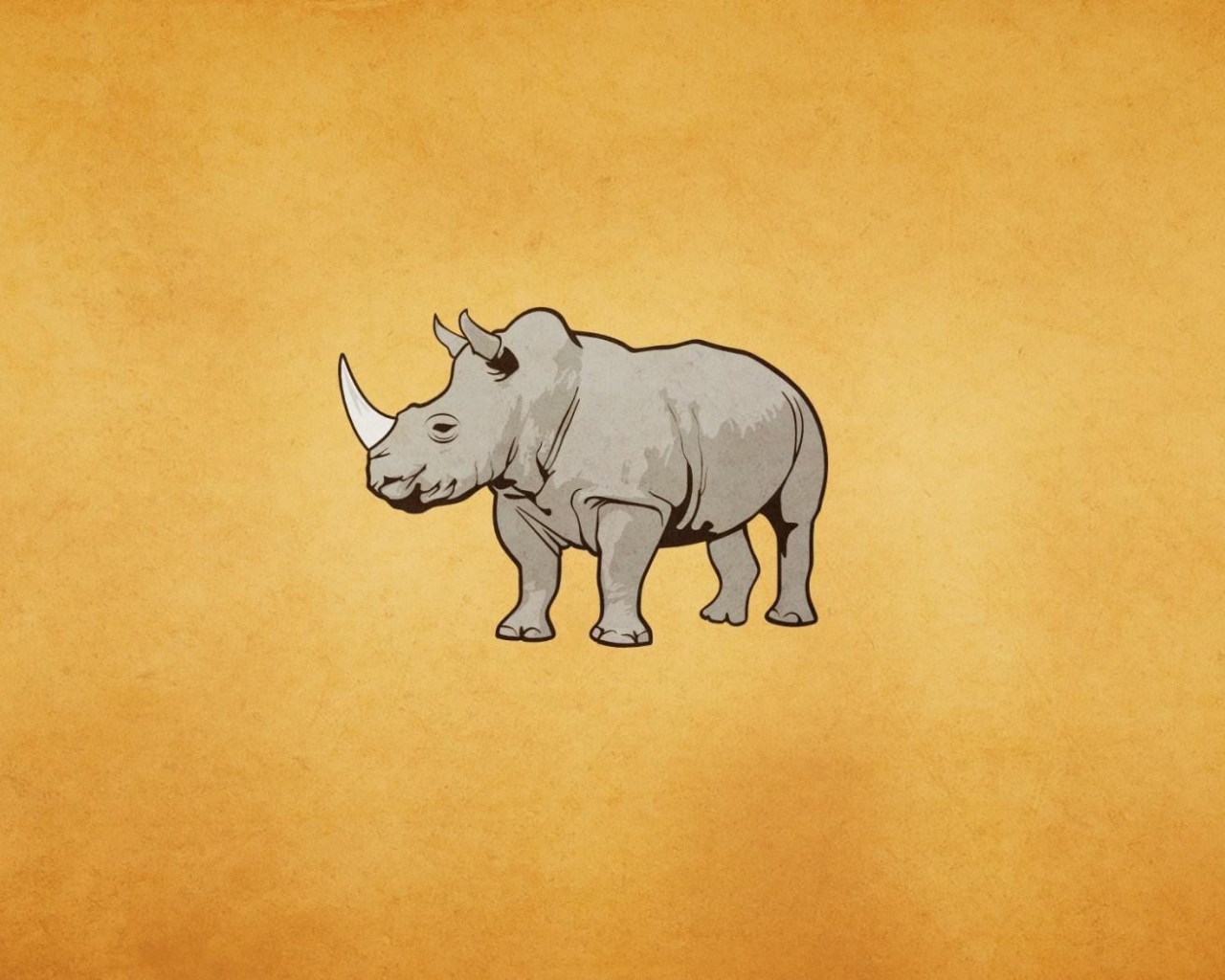 Серый носорог, оранжевый фон