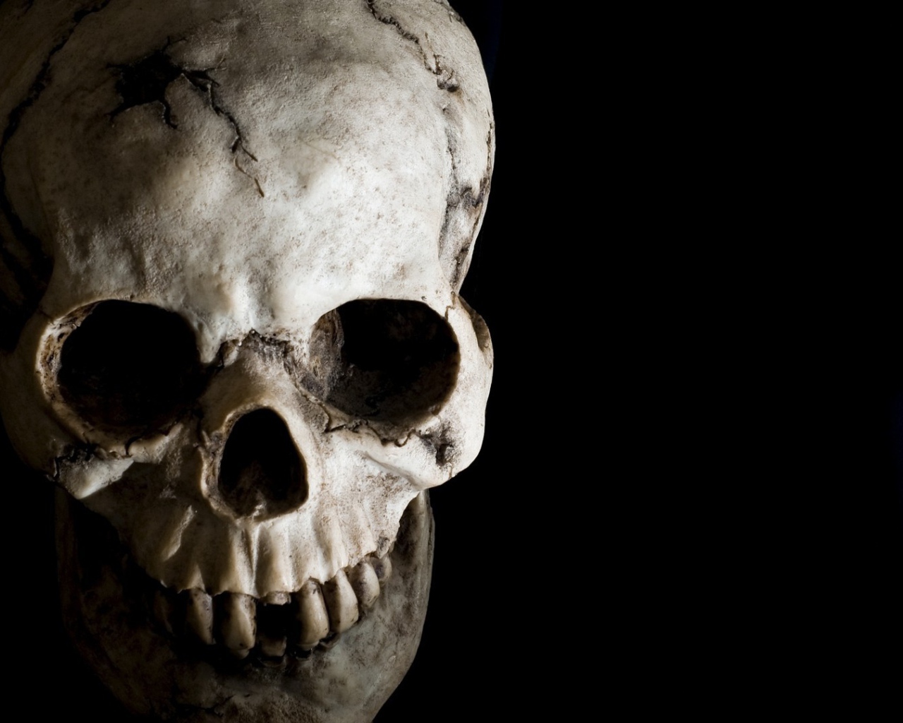 Череп человека на черном фоне