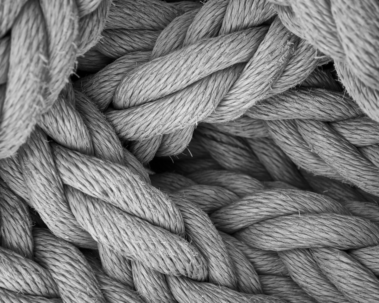 Переплетение серых веревок