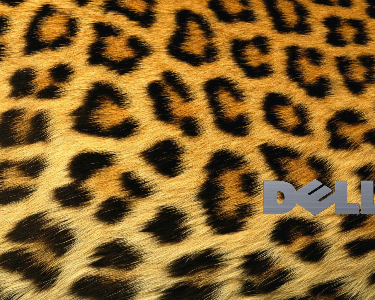 Шкура леопарда, фон Делл