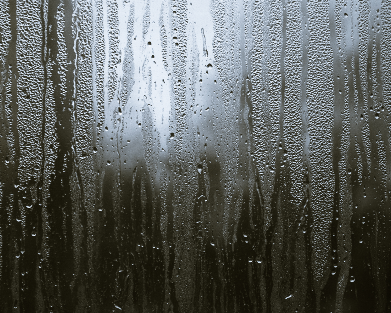 Свет за мокрым стеклом