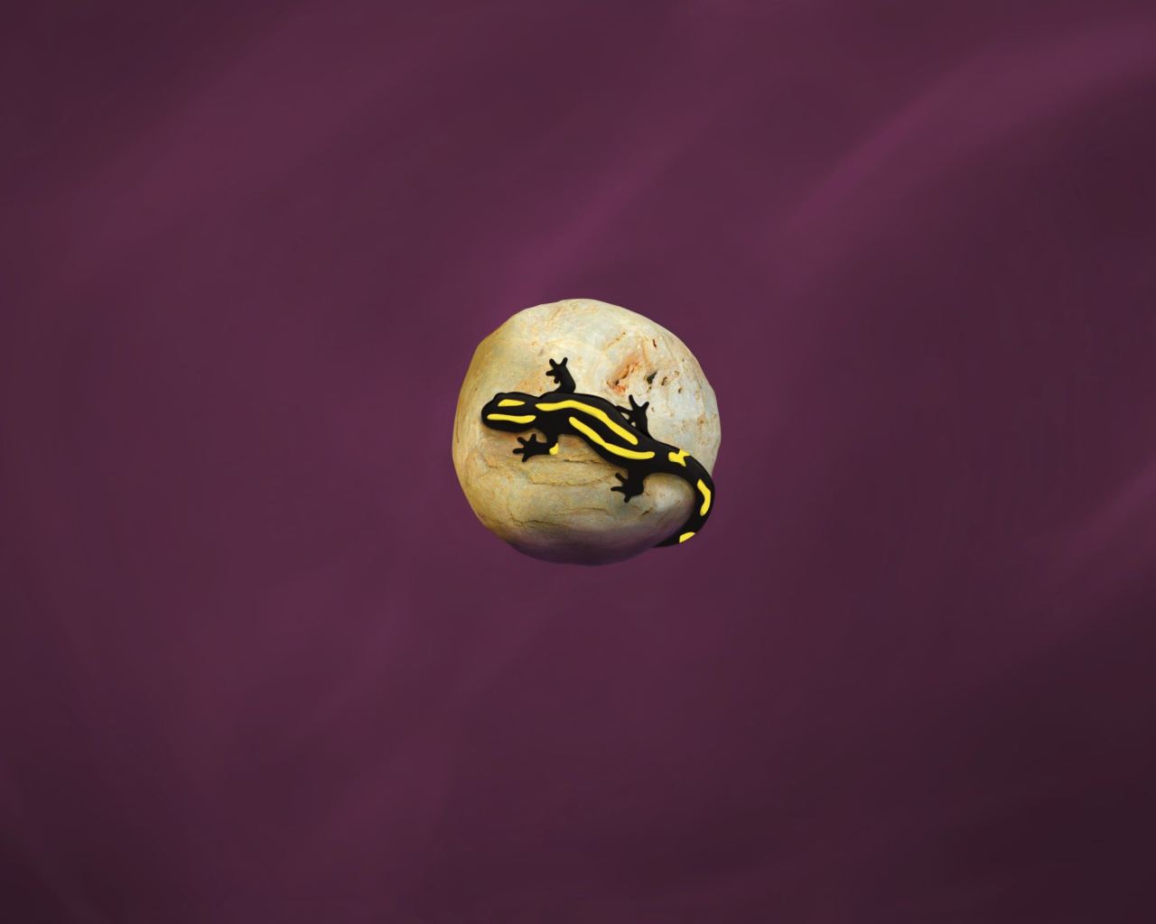 Ящерица на камне, фиолетовый фон