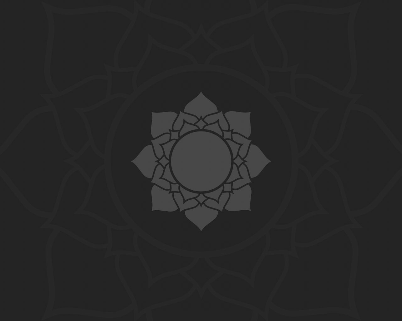 Цветок лотоса, темно серый фон