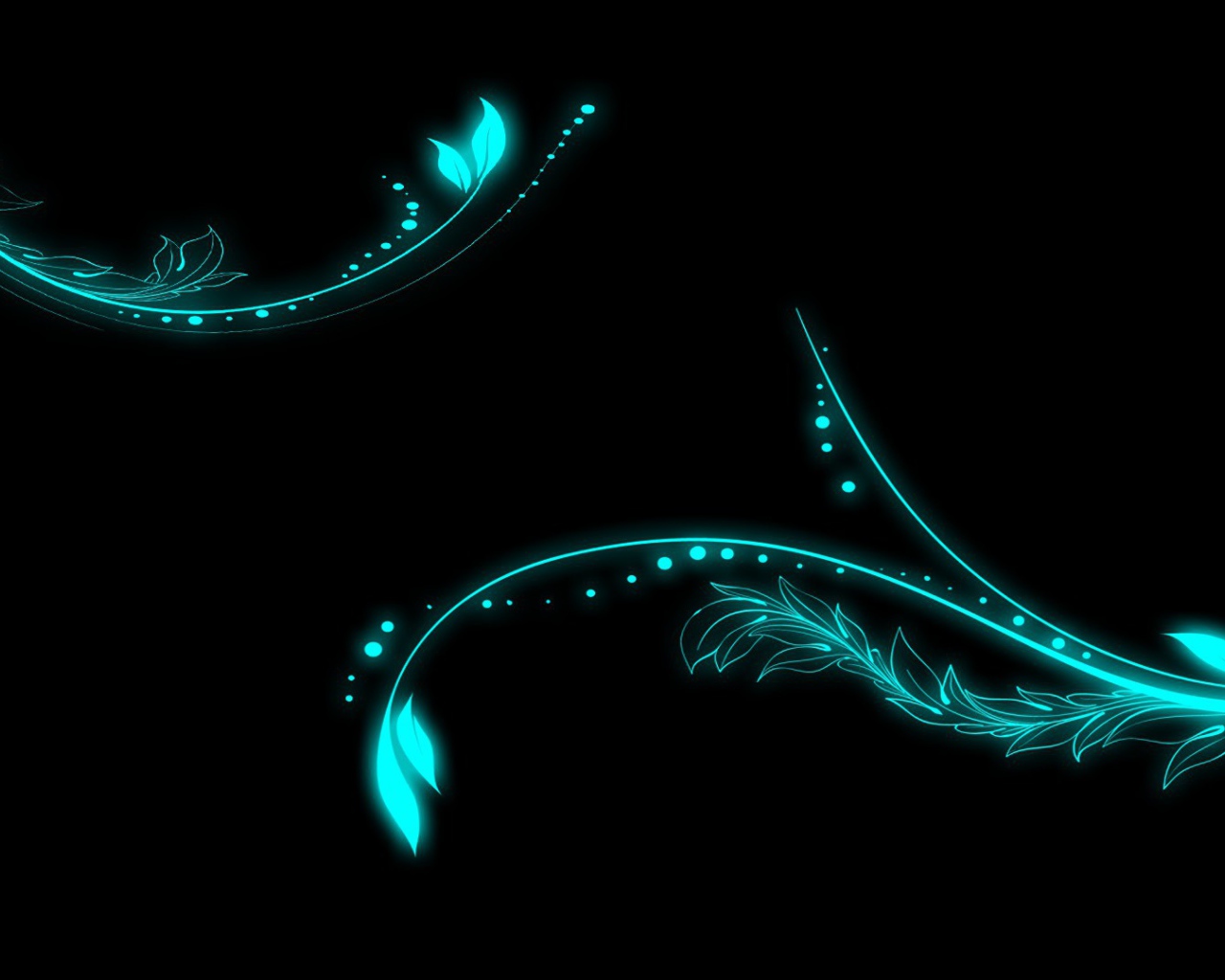 Неоновые цветы на черном фоне