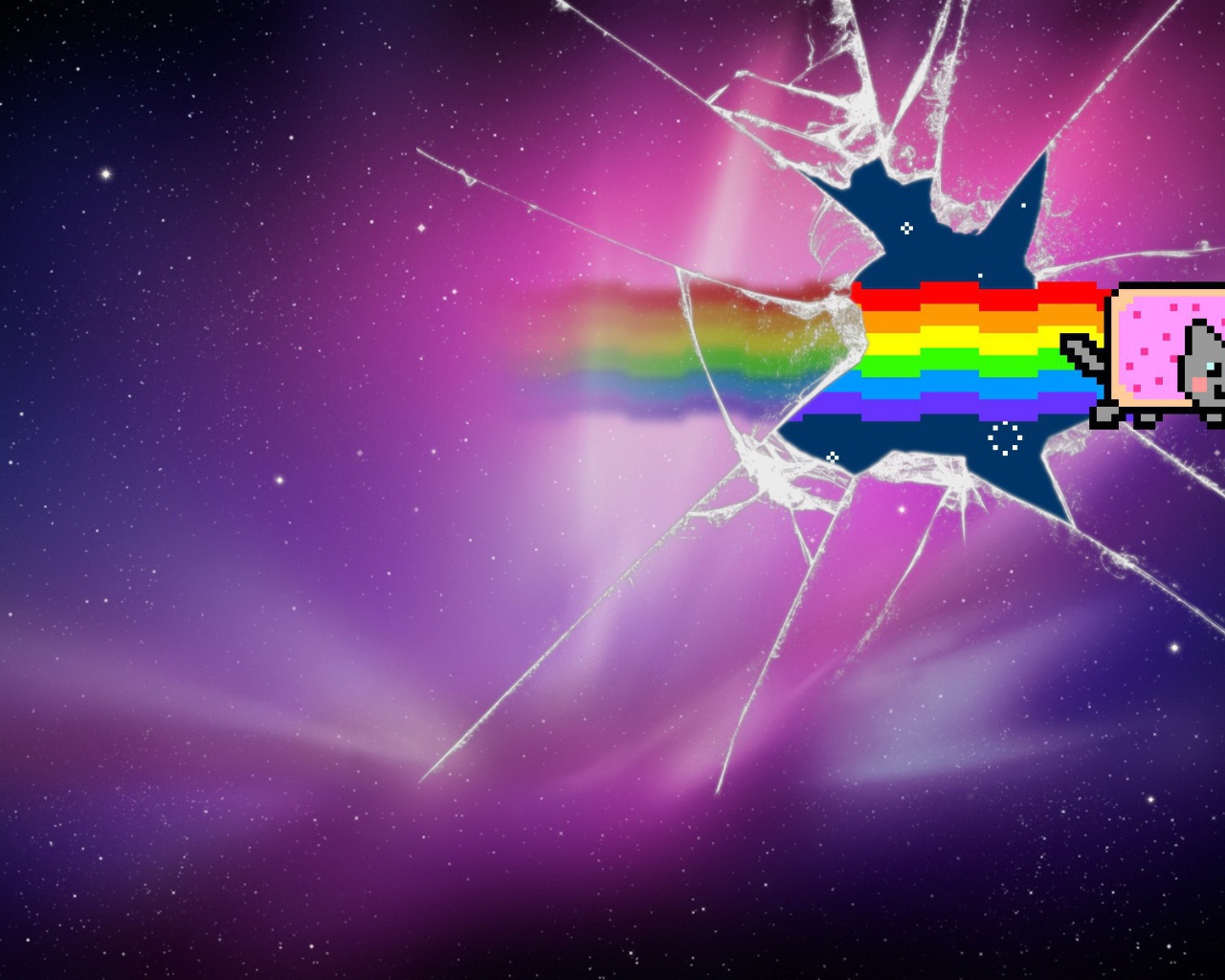 Нян кот разбил стекло