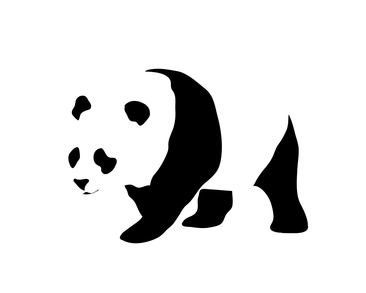 Панда, черно белый фон