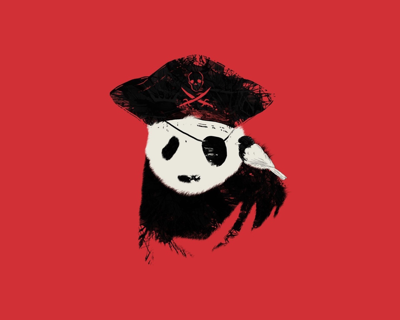 Панда пират, красный фон