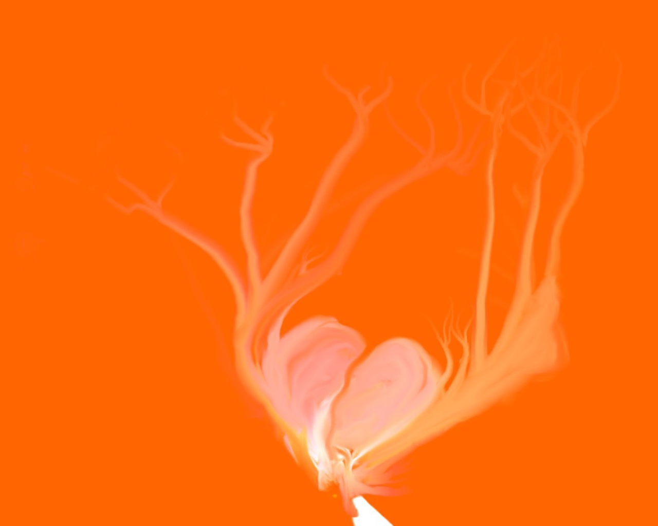 Розовое сердце на оранжевом фоне