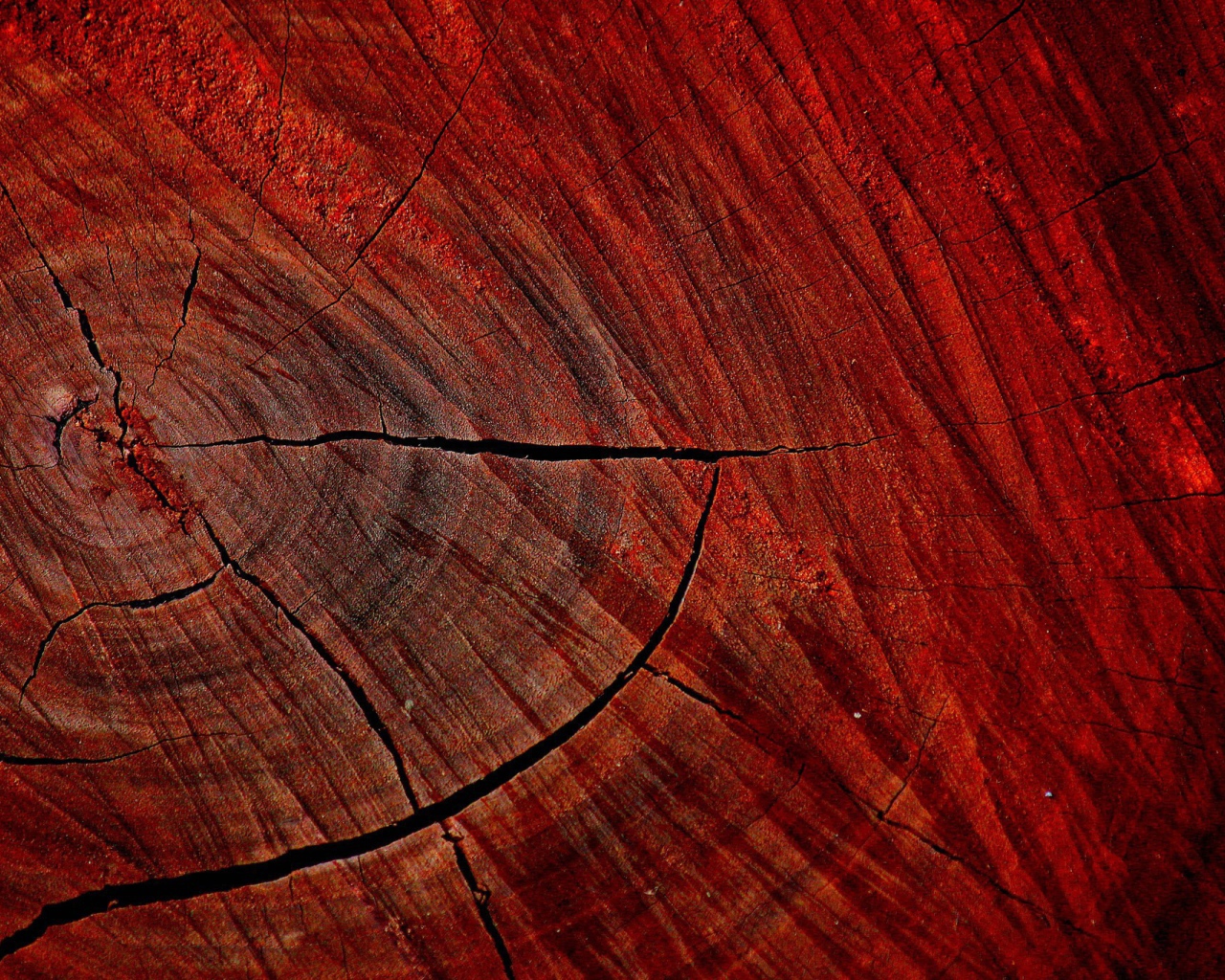 Красный спил дерева